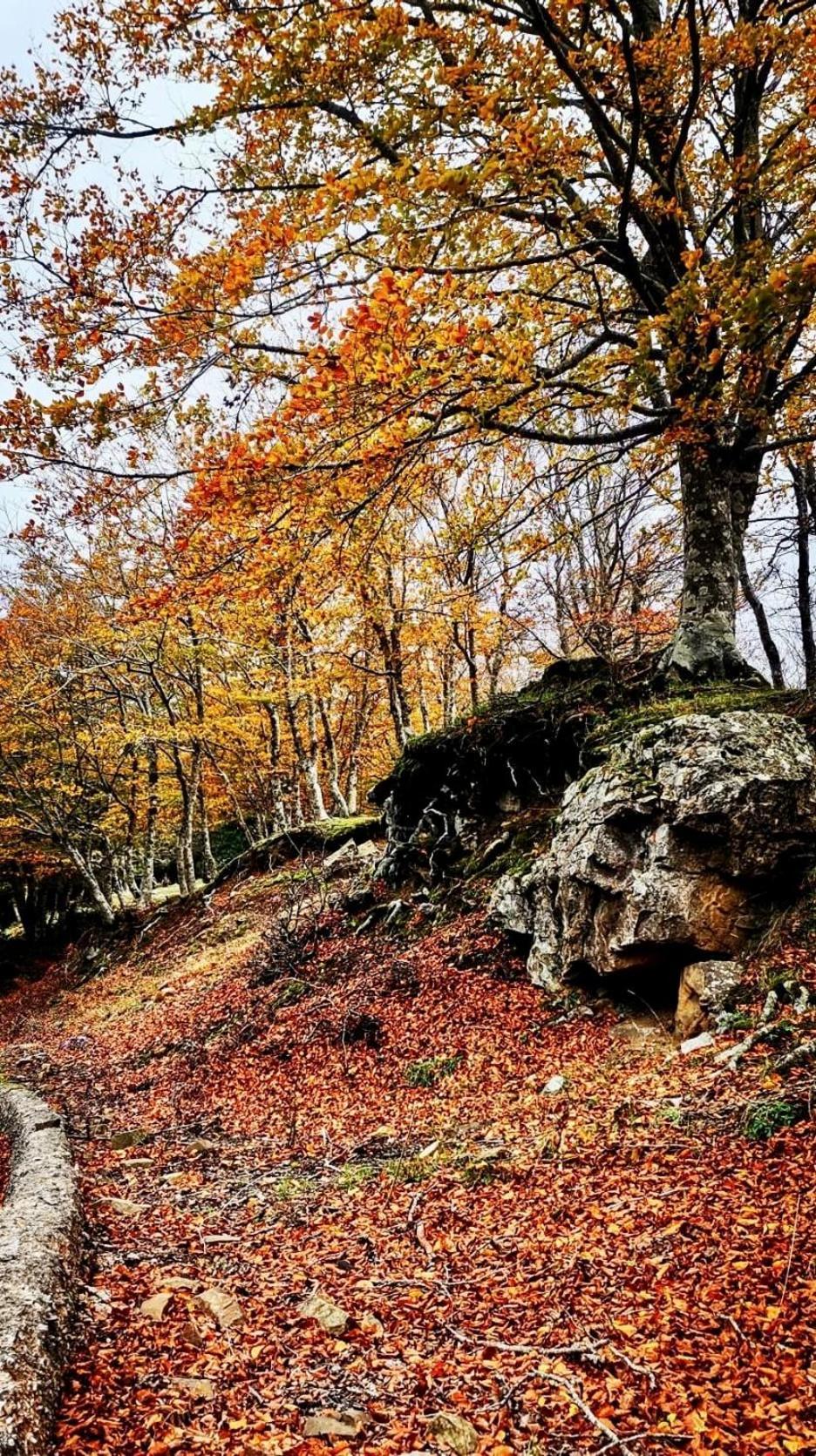 Nebris - Rifugio Del Parco Hotel San Fratello Kültér fotó