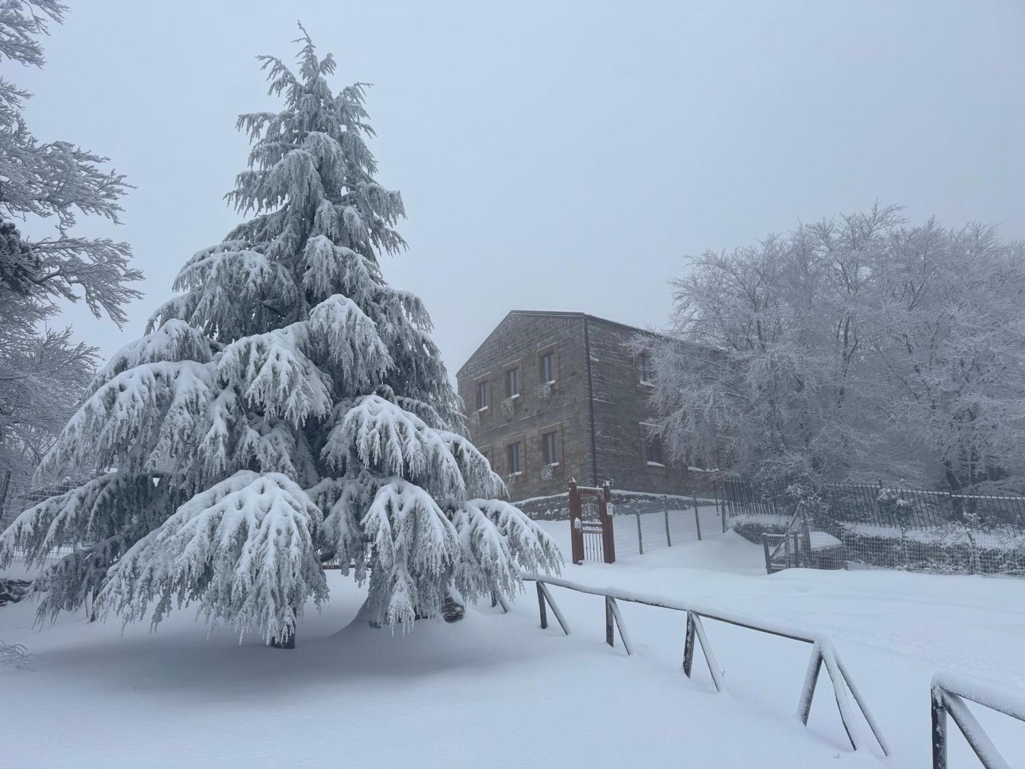 Nebris - Rifugio Del Parco Hotel San Fratello Kültér fotó